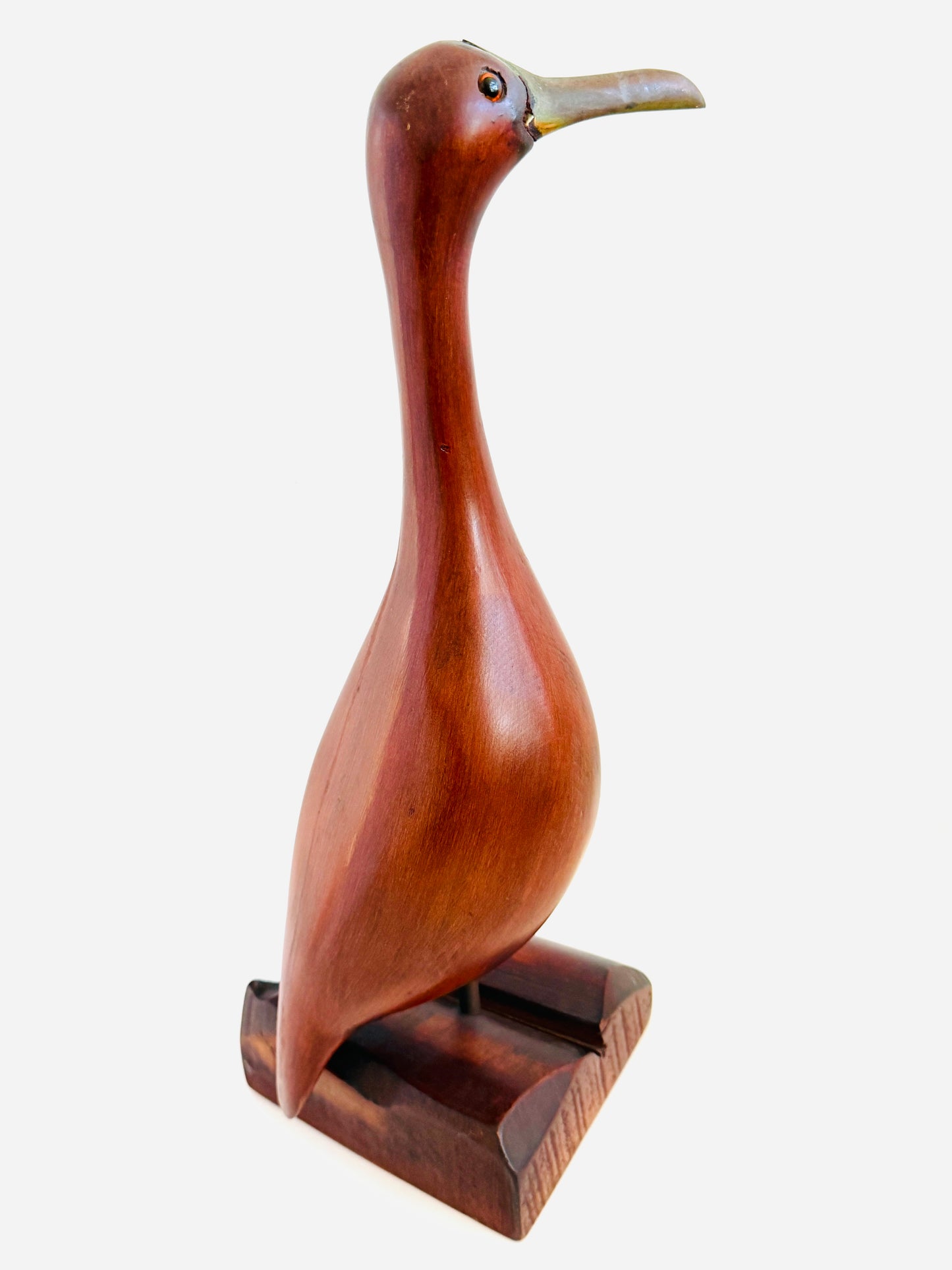 Mid Century Modern Mahogany Seagul Metal Beak Glass Eye Sculpture On Stand