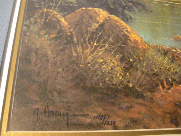 G Harvey Signed Lithograph Limited Edition With Title Among The Silence of Canyon Echoes - Designer Unique Finds 