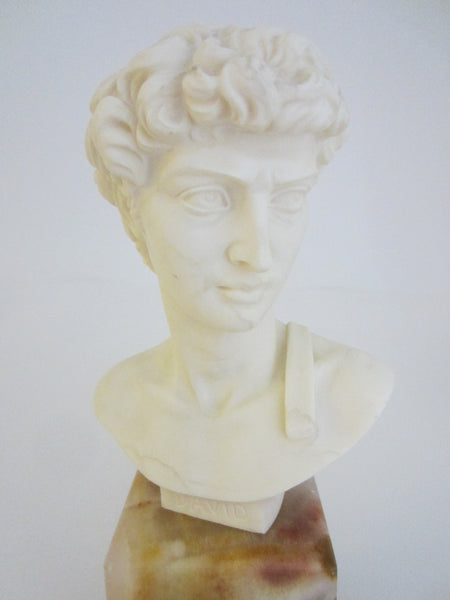David By A Giannelli Volterra Signed Alabaster Bust Copyrighted - Designer Unique Finds 