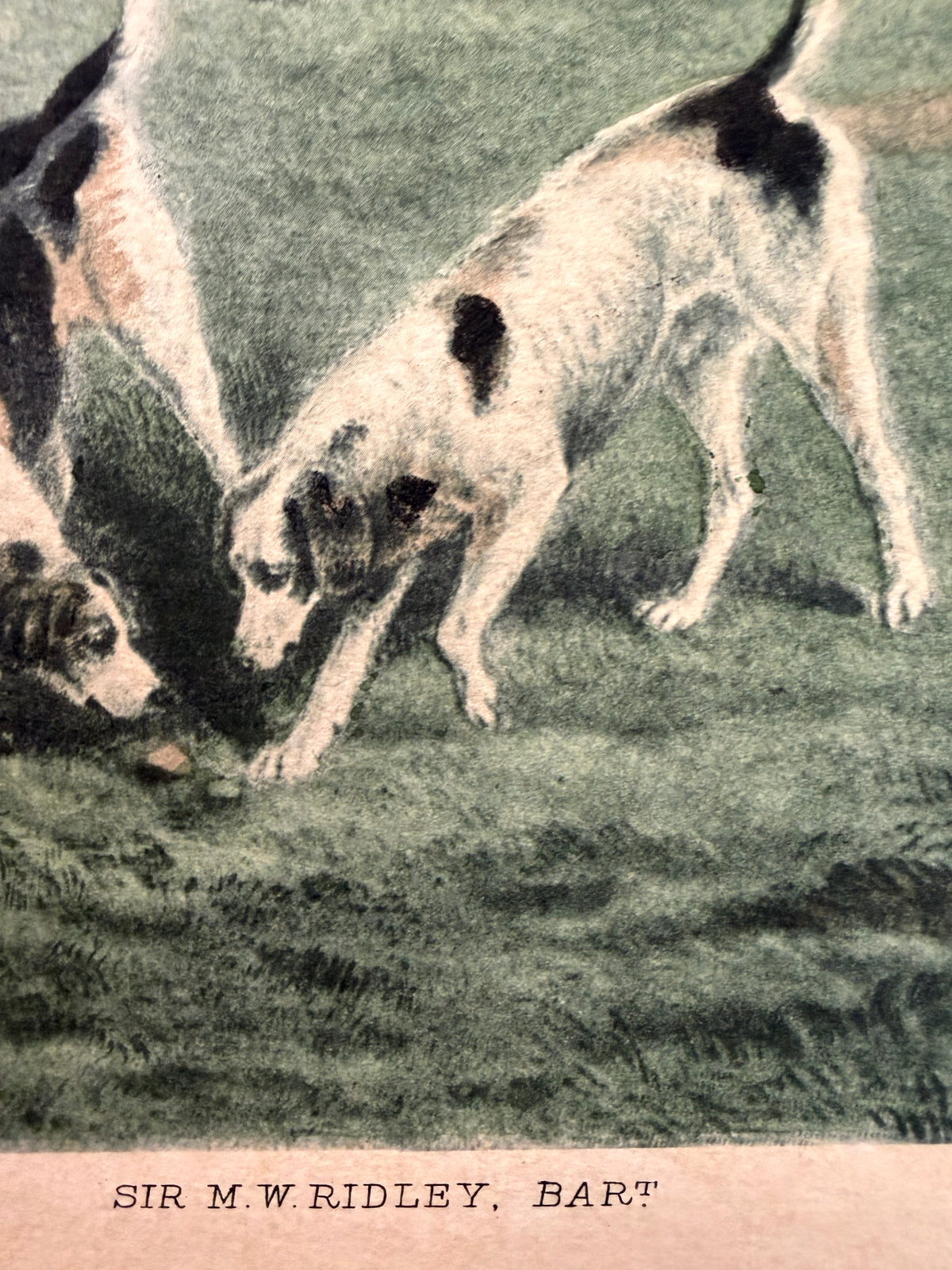 Vintage Hunting Equestrian Print Titled The Meet At Blagdon Horse By Thomas Lurton