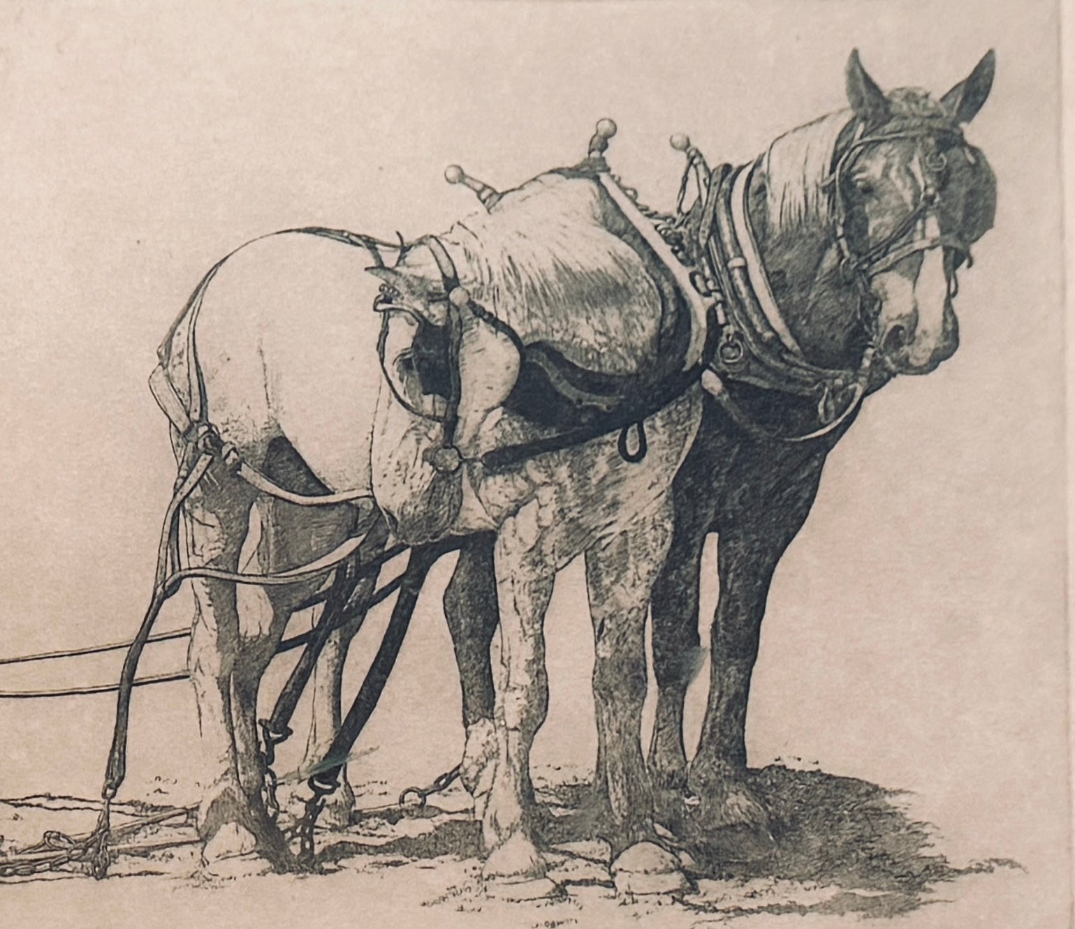 Gualoh Lubeck Waiting Their Turn LE Signed Equestrian Lithograph