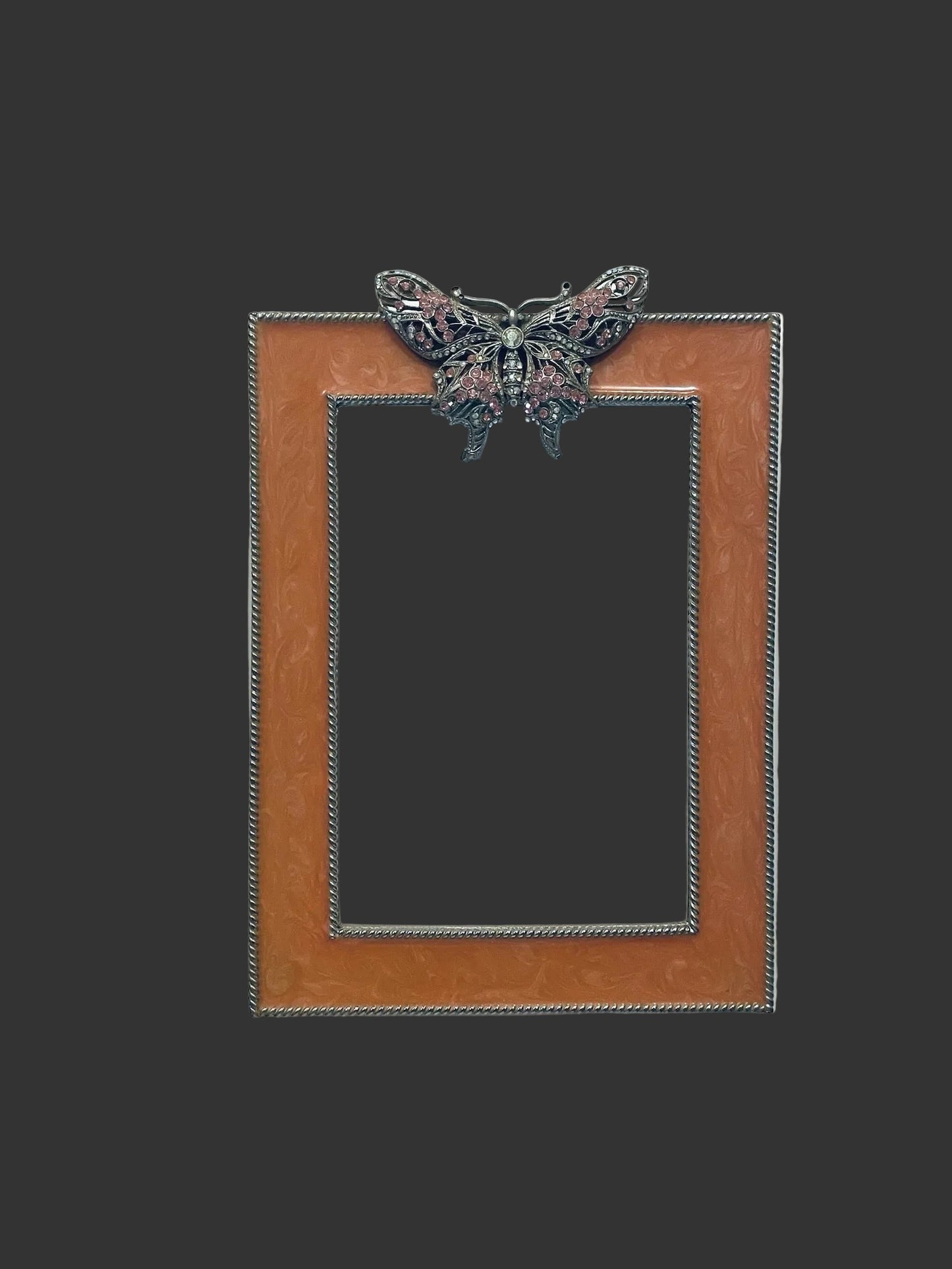 Decorative picture frame with a butterfly embellishment 