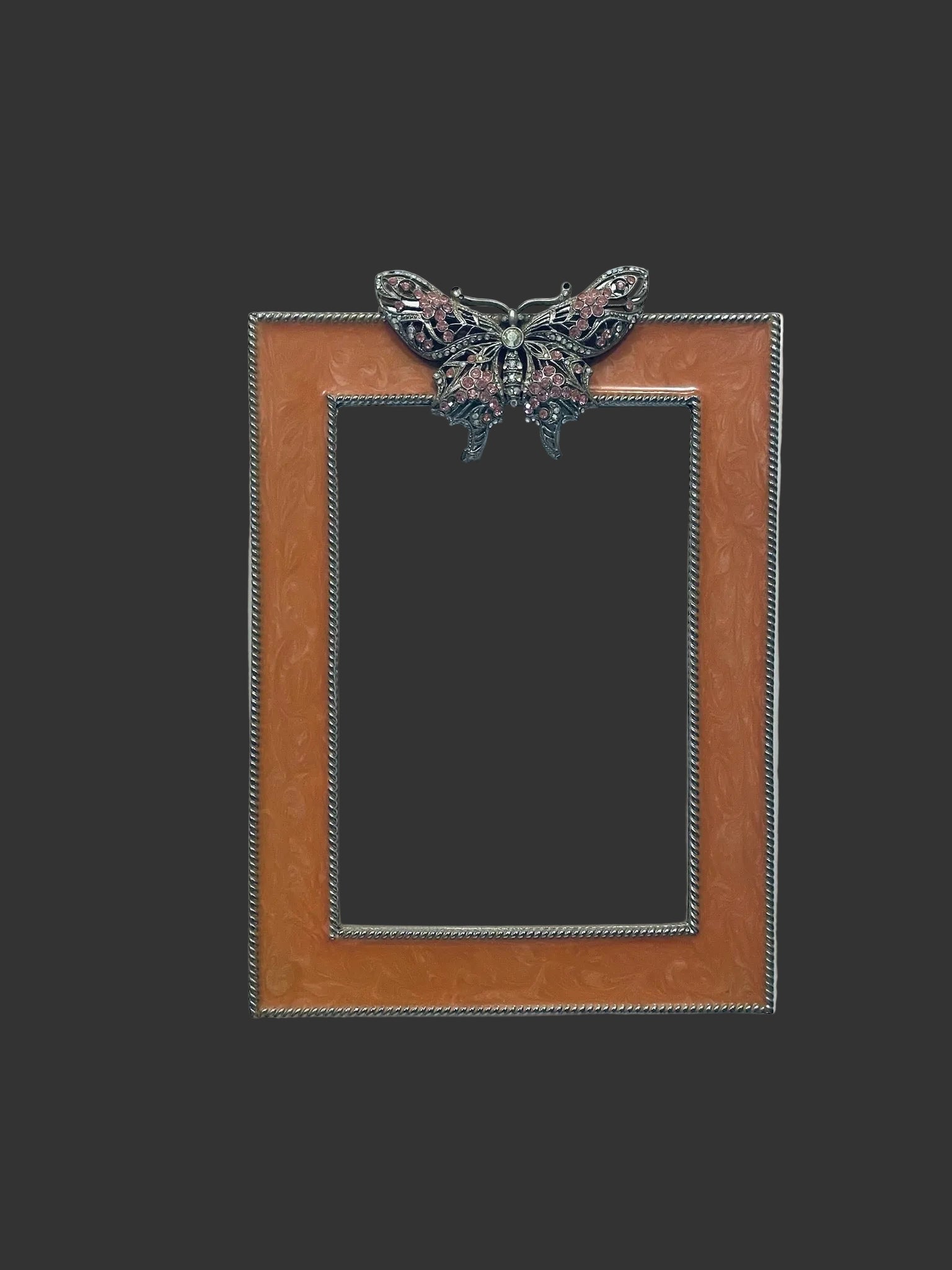 Decorative picture frame with a butterfly embellishment 