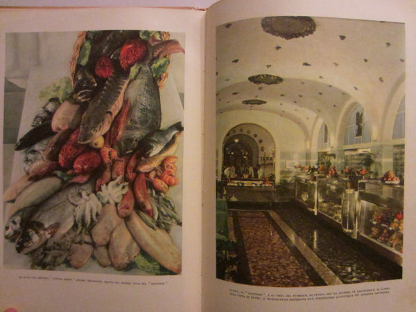 Paul Robert Lyons Fire in America Illustrated First Edition Circa 1976