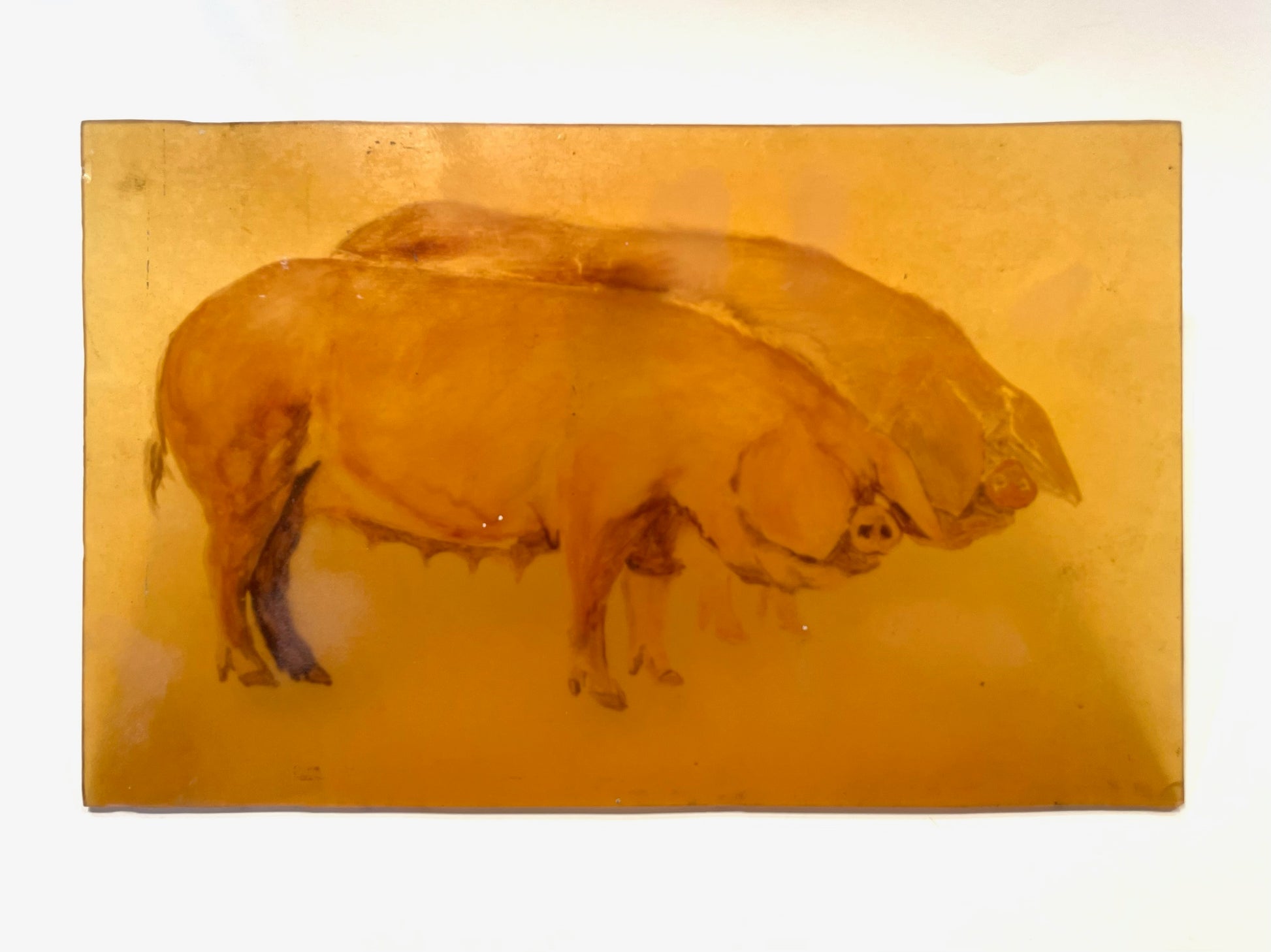 Artistic depiction of two pigs on a gold background