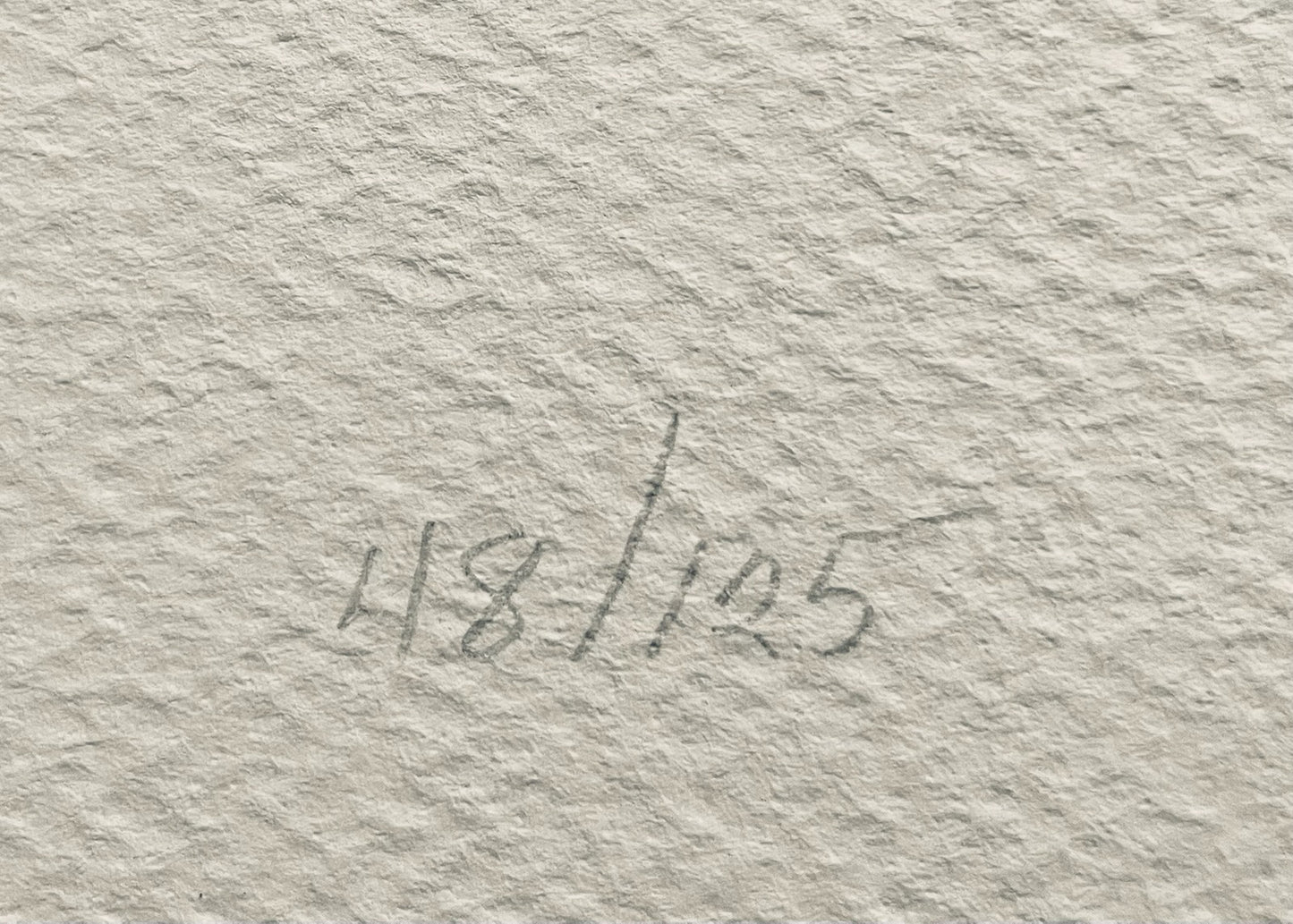 Bas Relief Paper Sculpting White Seashell Design Gouache