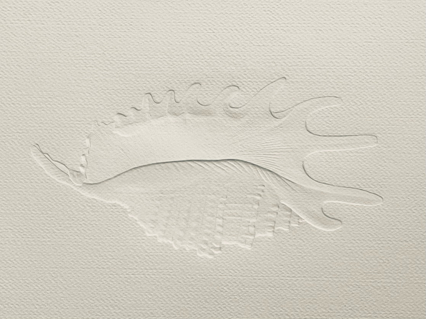 Bas Relief Paper Sculpting White on White Seashell Design Art