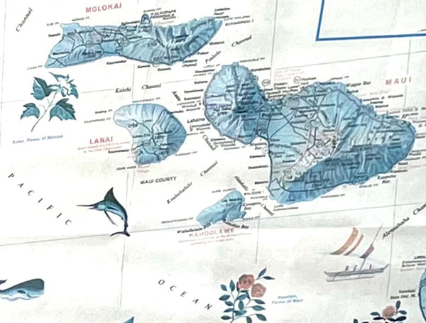 Principal Islands of Hawaii Lithograph Map By Rand McNally