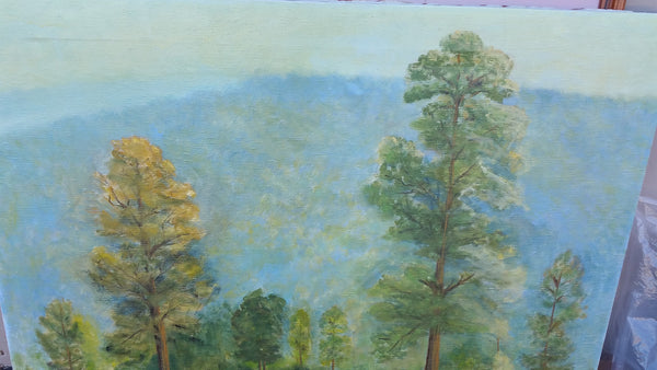 Mountain View Landscape Oil On Canvas Signed Elsa - Designer Unique Finds 