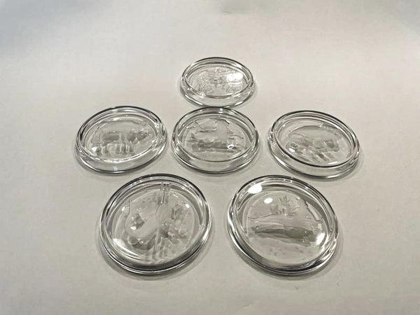 Zodiac Glass Coaster Suite Etched Characters Set of Six