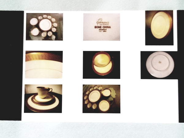 Robinsons California Fine Bone China Grandeur Japan Dinner Set