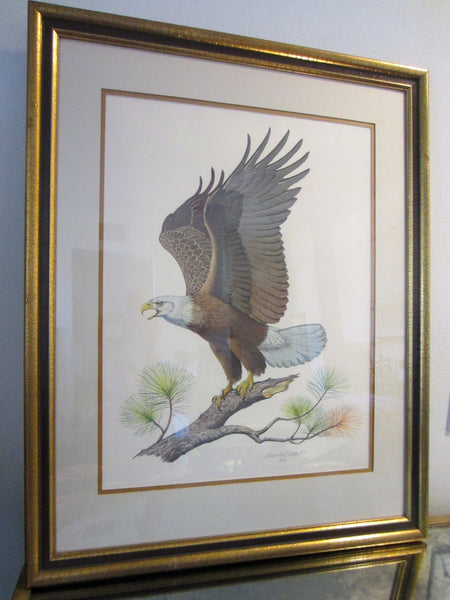Albert Earl Gilbert The American Bald Eagle Mid Century Signed Illustration
