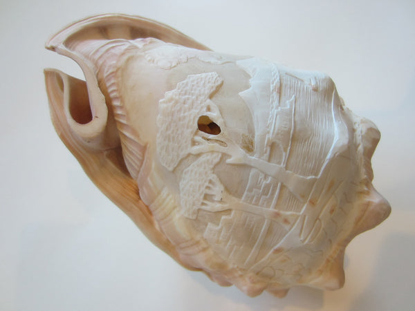 Nautical Seashell Natural Conch Sculpture Oceanic Relief