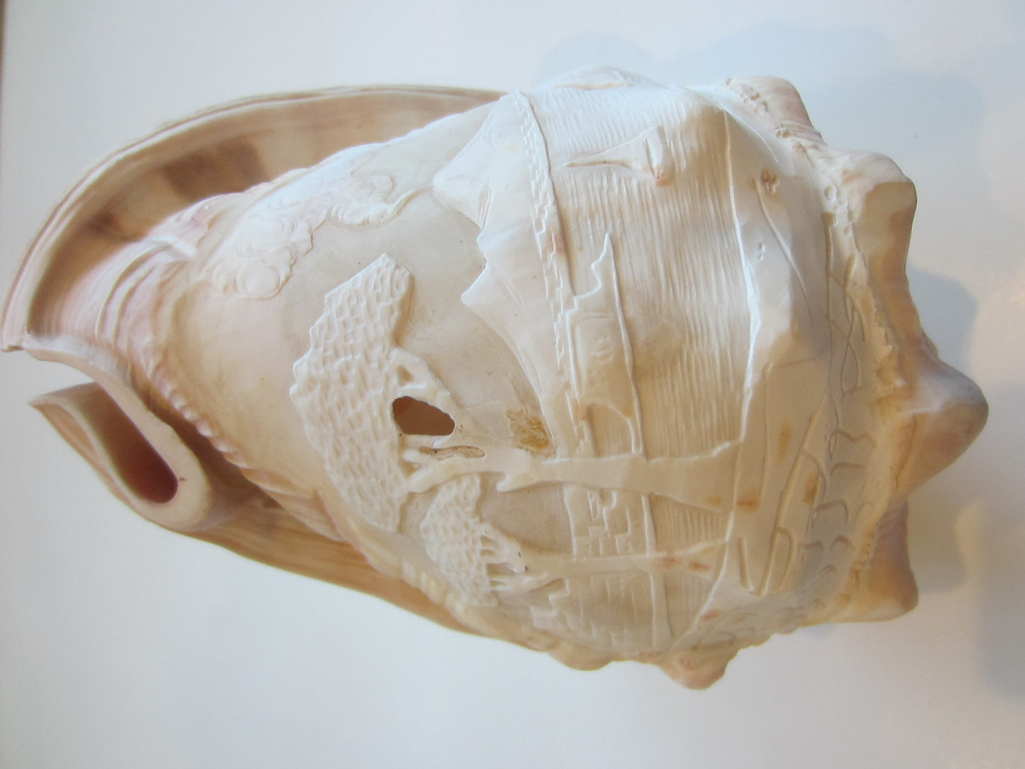 Nautical Seashell Natural Conch Sculpture Oceanic Decoration