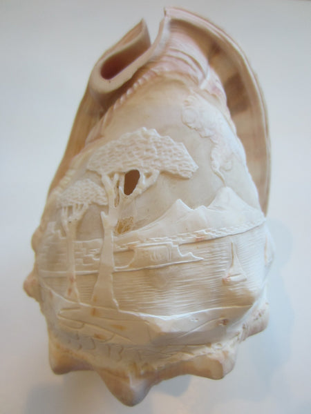 Nautical Seashell Natural Conch Sculpture Oceanic Relief