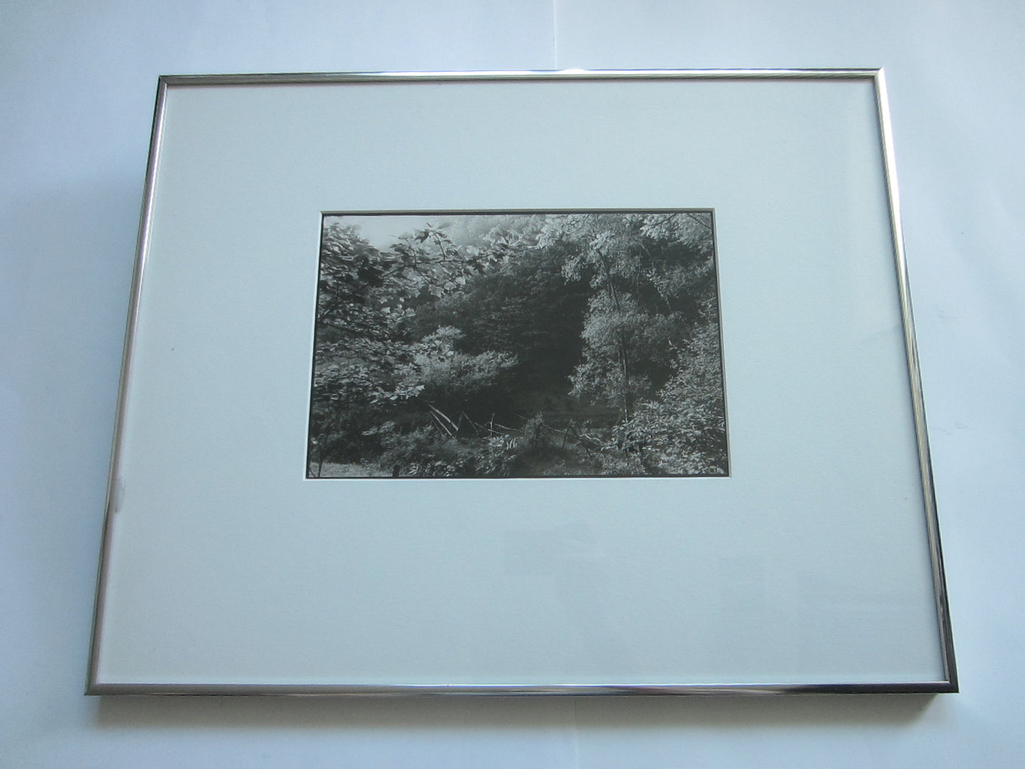 Margaret Mackichan Photograph Signed Titled Pasture Near Rose Bend