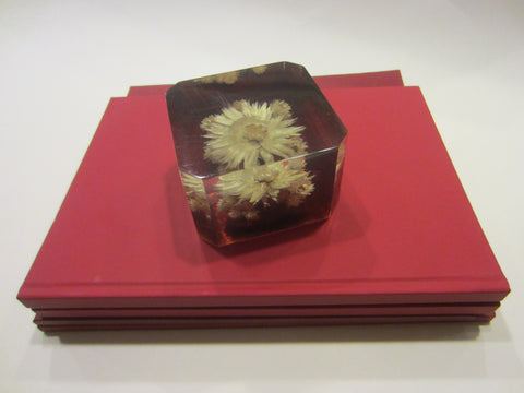 Republic South Africa Lucite Paperweight Dried Flower Encased Label Marked