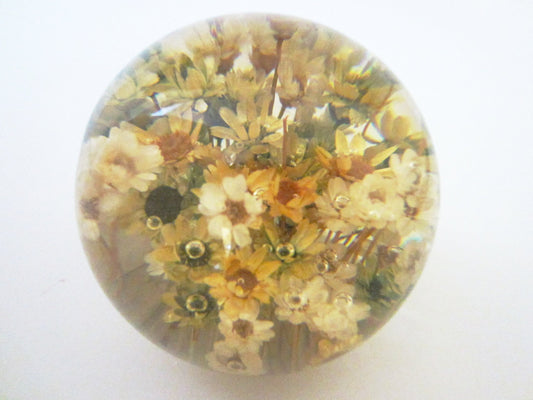 Post Modern Lucite Paperweight Wild Flowers Encased