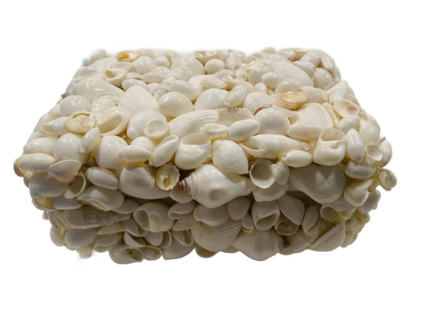 A White Rectangle Seashell Box Made In Philippines 