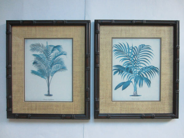 Blue Ferns Botanical Contemporary Framed Illustrations