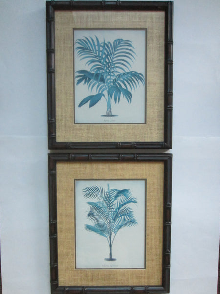 Blue Ferns Botanical Contemporary Framed Illustrations