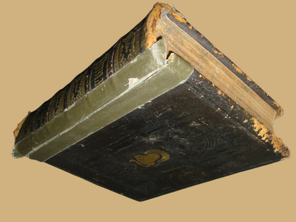 John Potter Illustrated Antique Bible Family Photo Album Embossed Leather Cover
