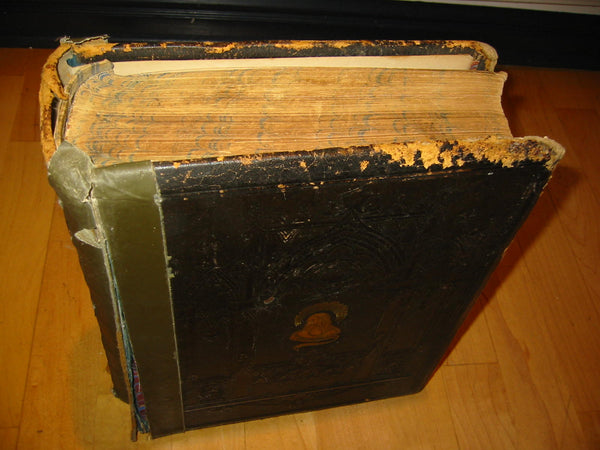 John Potter Illustrated Antique Bible Family Photo Album Embossed Leather Cover