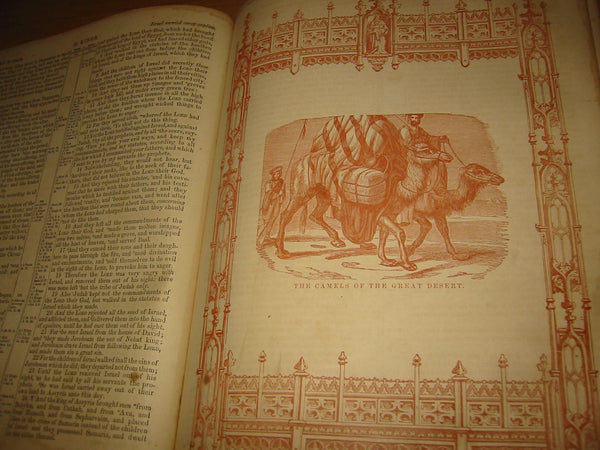 Illustrated Family Bible Leather Cover Album Circa 18th Century John Potter - Designer Unique Finds 