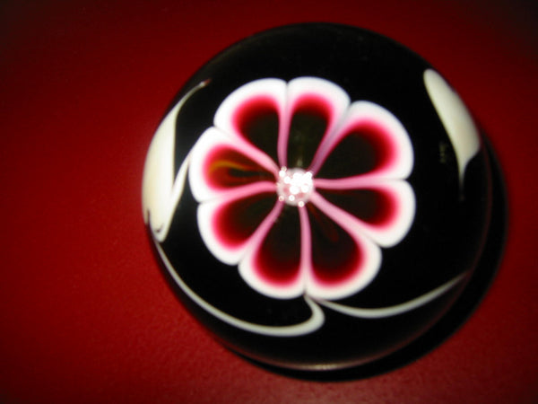 Black Glass Paperweight Signed Abelman Bold Flower Dated Numbered - Designer Unique Finds 
 - 3