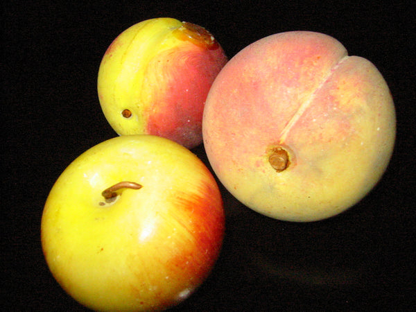 Fruits Sculptures Stone Peaches And Apple - Designer Unique Finds 
 - 1