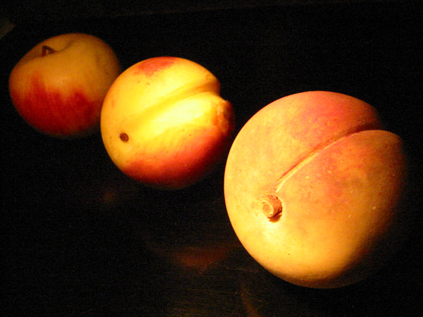 Fruit Sculptures Stone Life Size Apricot Peach Apple