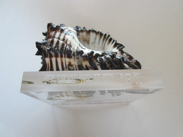 Seashell  Lucite Stand Nautical Paperweight Spirit 91 - Designer Unique Finds 