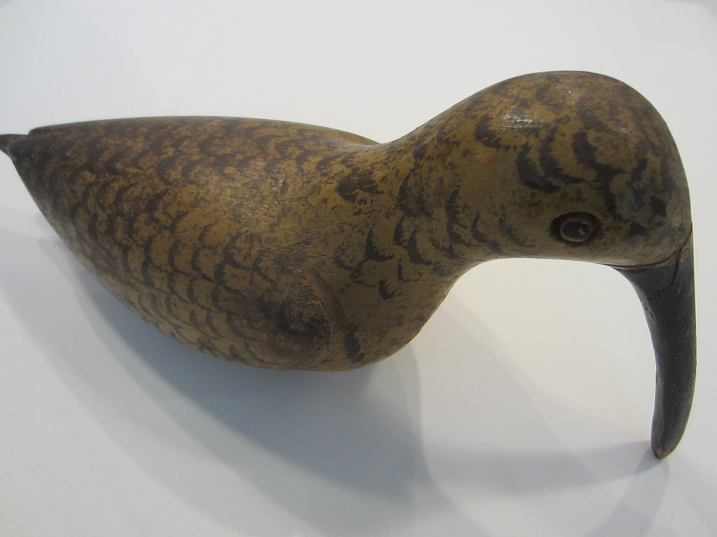 Long Billed Curlew North America Shore Bird Decoy Designer Unique Finds