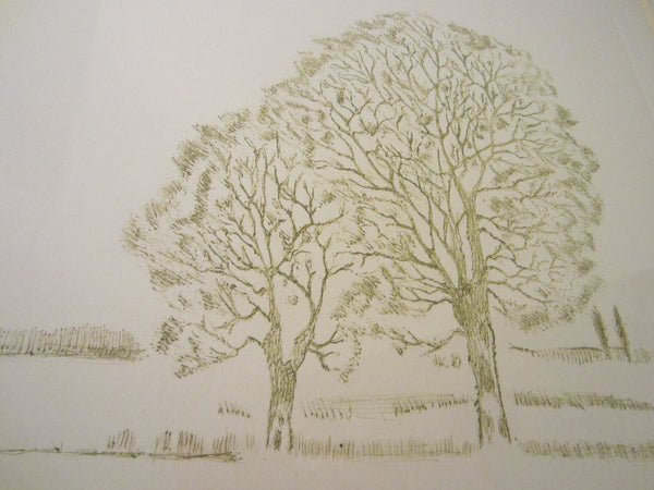 Anita Klebanoff Winter Trees II Contemporary Drawing Art - Designer Unique Finds 
 - 1