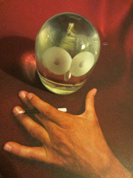 Hadeland Norway Egg Shape Crystal Owl - Designer Unique Finds 
 - 2